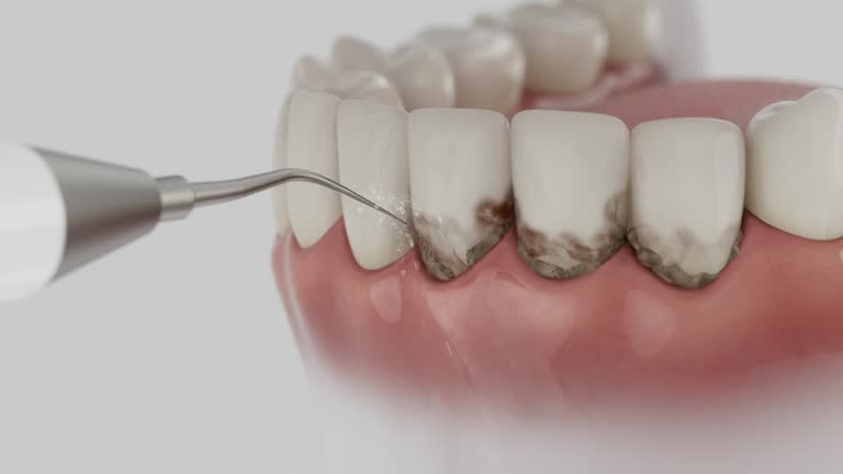 Reliable Dental contractor in Tyler Run, PA by Dentist Open Now